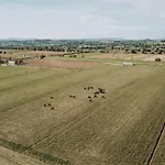 Tuscany With Panoramic Pool קסטיליון פיורנטינו